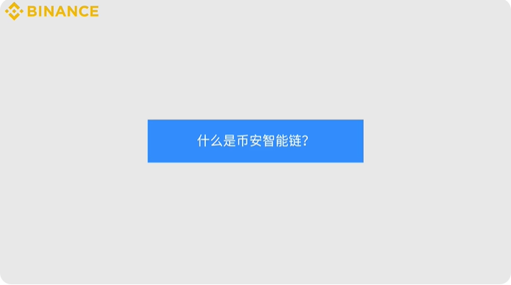 什么是币安智能链（BSC）？