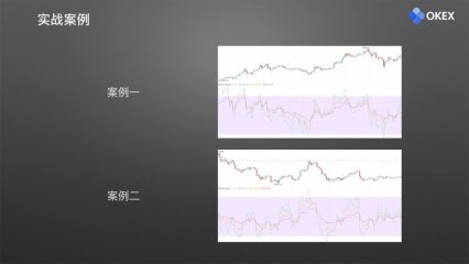 24 相对强弱指标RSI.024