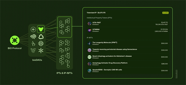 BIO（BIO Protocol）是什么币？